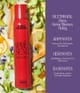 Andrew Fitzsimons Body Volume Texturspray 200 ml 3700426235815 visual2-shot_se