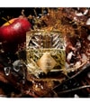 Produktbild 3 von 6, Kilian Paris The Liquors Eau de Parfum