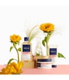 Produktbild 3 von 3, PHYTO PARIS Color Haarshampoo