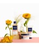 Zdjęcie produktu 2 z 2, PHYTO PARIS COLOR Maska do włosów