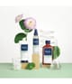 Produktbild 2 von 2, PHYTO PARIS VOLUME Conditioner