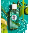 Produktbild 3 von 4, Roger & Gallet Vétyver Eau Fraîche