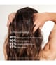 Produktbild 6 von 6, PHYTO PARIS PHYTOCYANE Nahrungsergänzungsmittel