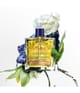 Produktbild 6 von 6, PHYTO PARIS PHYTO 7 ELIXIR Haaröl