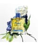 Produktbild 6 von 6, PHYTO PARIS PHYTO 7 ELIXIR Haaröl