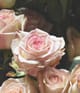 Image du produit 2 sur 2, HEADSPACE Rose Eau de parfum