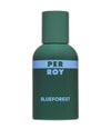 Zdjęcie produktu 1 z 2, Perroy Blue Forrest Woda perfumowana