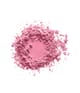 Immagine prodotto 2 di 2, T.LeClerc Dermophile Loose Powder Cipria in polvere