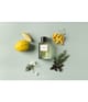 Zdjęcie produktu 4 z 6, ESSENTIAL PARFUMS Nice Bergamote Woda perfumowana