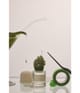 Produktbild 4 von 5, Fascent I Fig You Eau de Parfum