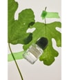 Produktbild 5 von 5, Fascent I Fig You Eau de Parfum