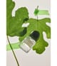 Produktbild 5 von 5, Fascent I Fig You Eau de Parfum