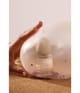 Produktbillede 5 af 5, Fascent Radical Softness Eau de Parfum