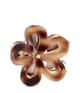 Image du produit 3 sur 3, Solida Pince crabe Barrettes