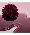 Image du produit 3 sur 5, ANNEMARIE BÖRLIND DEKORATIVE KOSMETIK Gloss lèvres