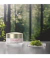 Immagine prodotto 2 di 6, ANNEMARIE BÖRLIND SYSTEM ABSOLUTE Crema da giorno
