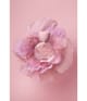 Produktbild 4 von 5, Betty Barclay Blush Eau de Toilette
