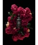 4711 Acqua Colonia Collection Absolue Eau de Parfum 100 ml 4011700760008 visual-shot_se
