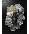 Produktbild 4 von 5, 4711 Acqua Colonia Collection Absolue Eau de Parfum