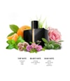 Produktbild 3 von 3, s.Oliver Selection Men Eau de Toilette