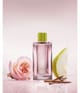 GANT PREPPY ROSE Eau de Parfum 30 ml 4013674810017 visualImage