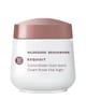 Produktbild 1 von 2, Hildegard Braukmann Exquisit Nachtcreme