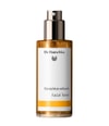 Produktbild 1 von 2, Dr. Hauschka Tagespflege Gesichtsspray