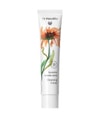 Produktbild 1 von 2, Dr. Hauschka Reinigung Reinigungscreme