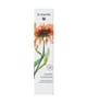 Produktbild 2 von 2, Dr. Hauschka Reinigung Reinigungscreme