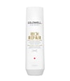 Produktbild 1 von 6, Goldwell Dualsenses Rich Repair Haarshampoo
