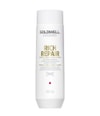 Tuotekuva 1/6, Goldwell Dualsenses Rich Repair Shampoo