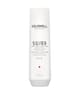 Produktbild 1 von 5, Goldwell Dualsenses Silver Haarshampoo