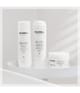 Goldwell Dualsenses Silver Schampo 250 ml 4021609028710 visual-shot_se