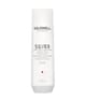 Goldwell Dualsenses Silver Schampo 250 ml 4021609028710 base-shot_se