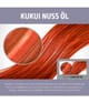 Goldwell Dualsenses Just Smooth Schampo 250 ml 4021609028895 visual-shot_se