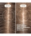 Productafbeelding 3 van 6, Goldwell Dualsenses Scalp Specialist Shampoo