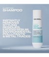 Image du produit 4 sur 6, Goldwell Dualsenses Scalp Specialist Shampoing