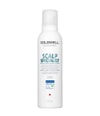 Produktbillede 1 af 6, Goldwell Dualsenses Scalp Specialist Shampoo