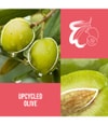 Produktbillede 3 af 6, KMS ALLSMOOTH Hårolie