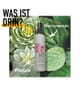 Produktbillede 3 af 6, KMS THERMASHAPE Varmebeskyttende spray