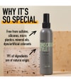 Produktbillede 5 af 6, KMS CONSCIOUSSTYLE Hårtørrerspray