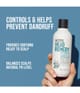 Image du produit 4 sur 5, KMS Headremedy Shampoing