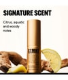 Produktbild 5 von 6, STMNT GROOMING GOODS Staygold Collection Haarpuder