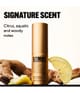 Produktbillede 5 af 6, STMNT GROOMING GOODS Staygold Collection Hårpudder