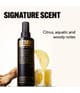 Produktbild 5 von 6, STMNT GROOMING GOODS Staygold Collection Haarspray