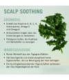 Produktbild 4 von 5, Schwarzkopf Professional BC Bonacure Scalp-Care Haarshampoo