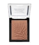 Image du produit 2 sur 3, wet n wild Color Icon Poudre brozante