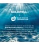 Goldwell Rich Repair Haarpflegeset 1 Stk 4050117261821 visual3-shot_de