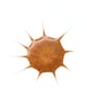 Produktbillede 3 af 6, essence DROP OF sunshine Bronzer