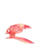 Produktbild 2 von 3, Invisibobble CLIPSTAR Haarspangen